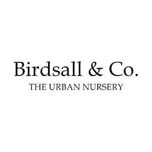 Birdsall Logo